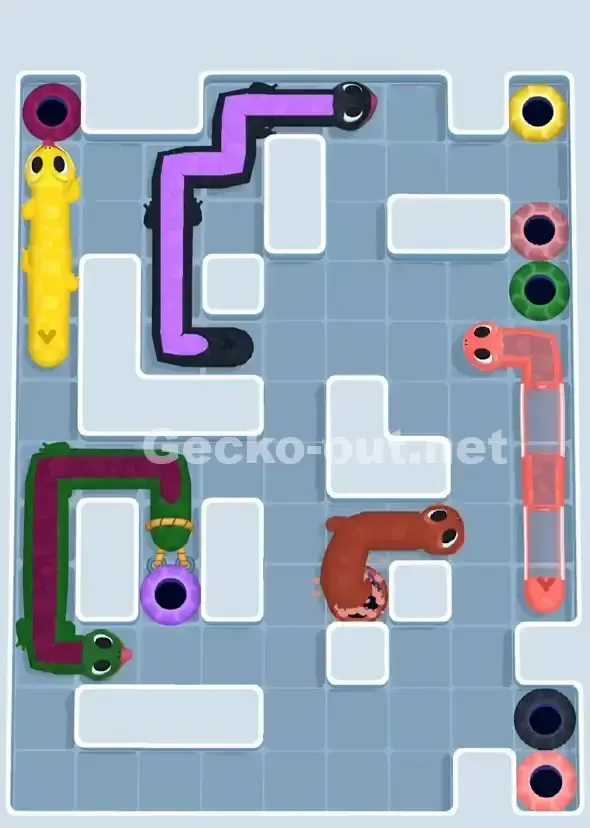 Gecko Out Level 898 Solution 3