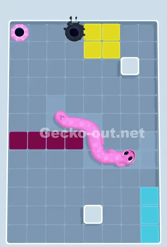 Gecko Out Level 810 Solution 3