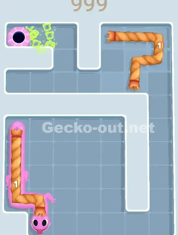 Gecko Out Level 999 Solution 3