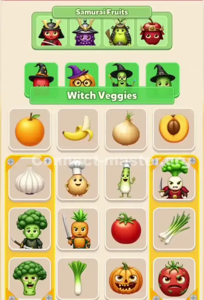 Connect Master Level 270 Solution 1