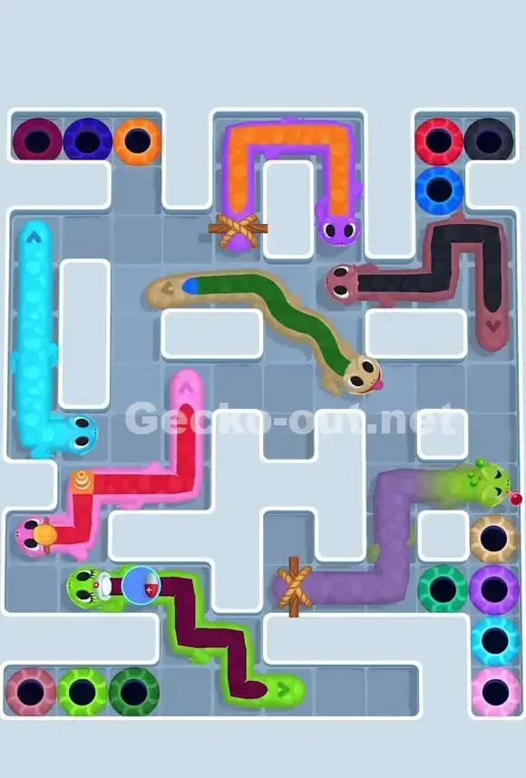 Gecko Out Level 781 Solution 1