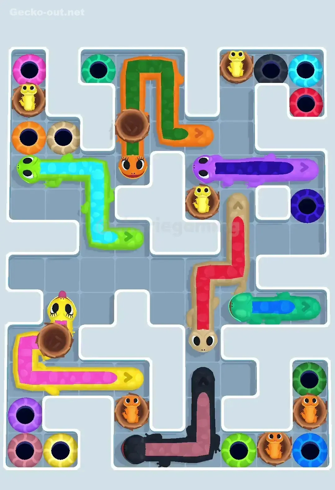 Gecko Out Level 607 Gameplay