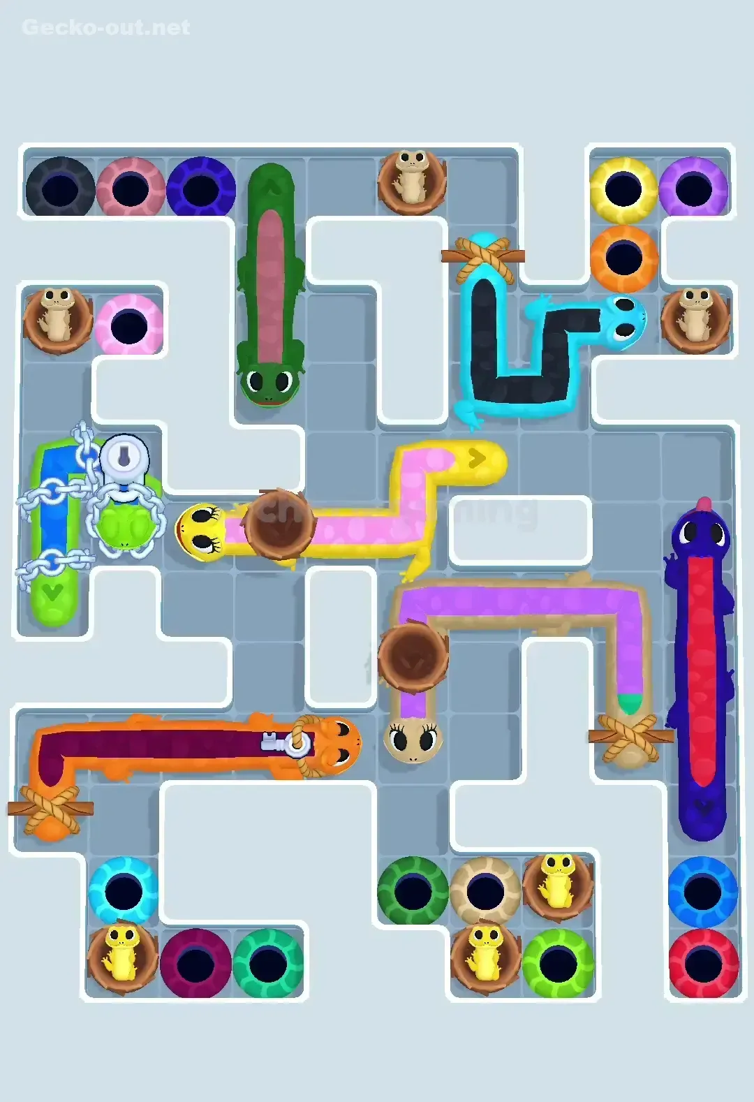 Gecko Out Level 605 Gameplay