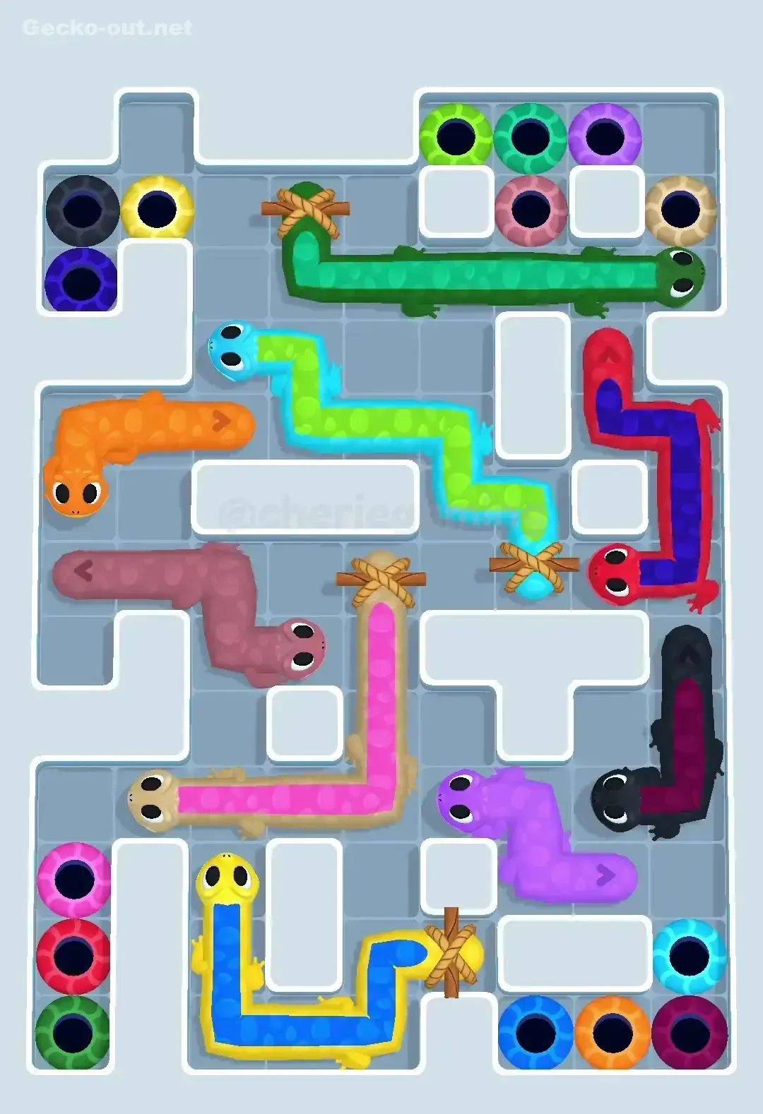 Gecko Out Level 505 Gameplay