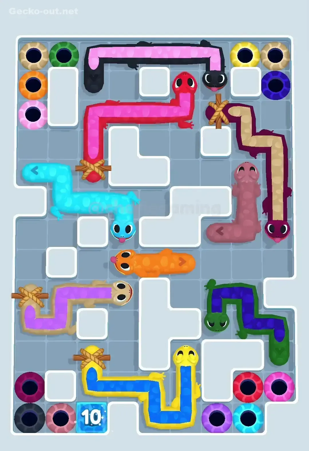 Gecko Out Level 504 Gameplay