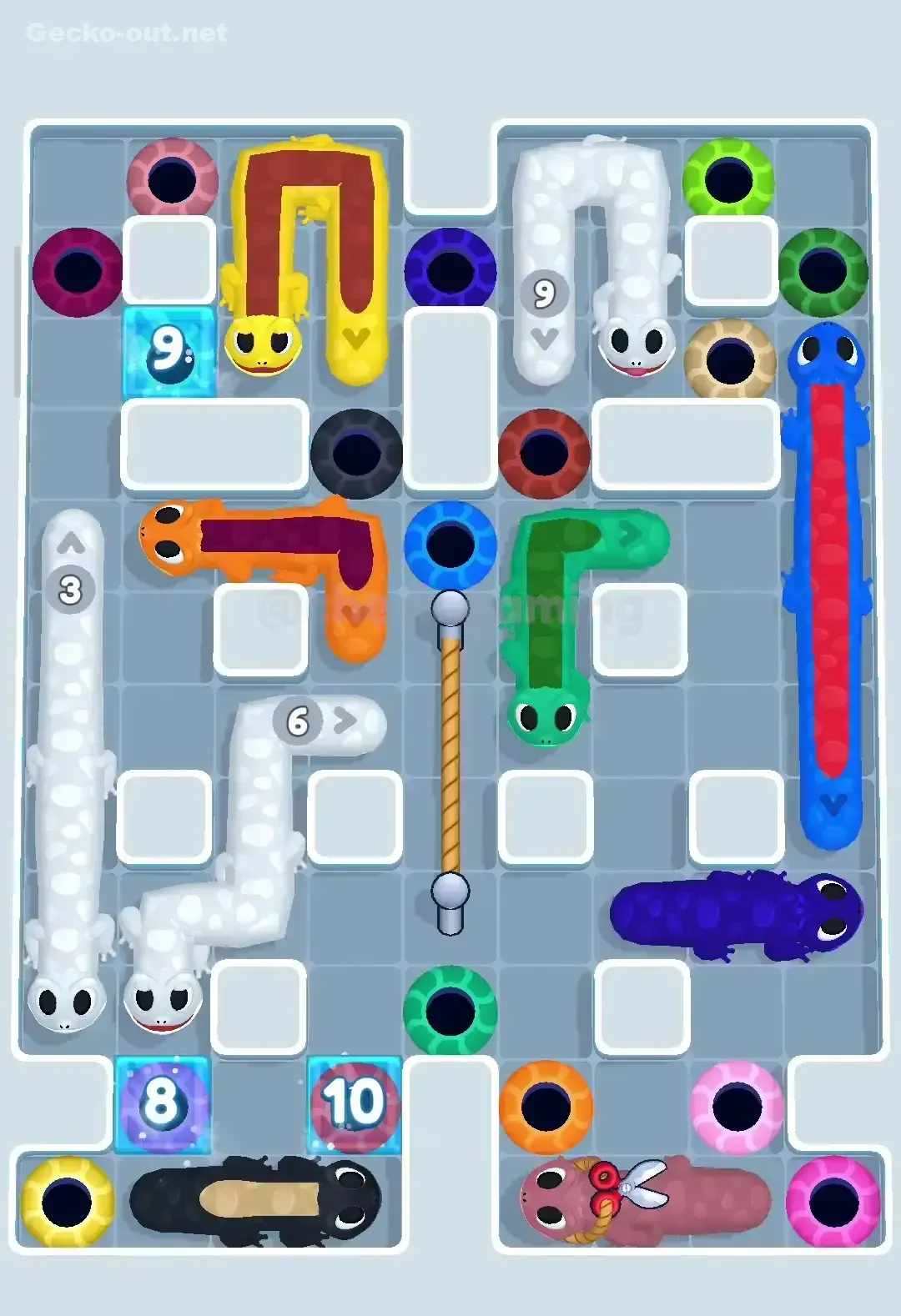 Gecko Out Level 257 Gameplay