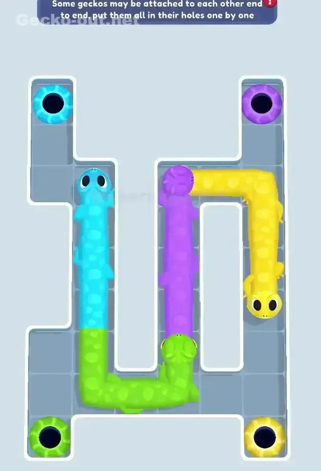 Gecko Out Level 66 Gameplay