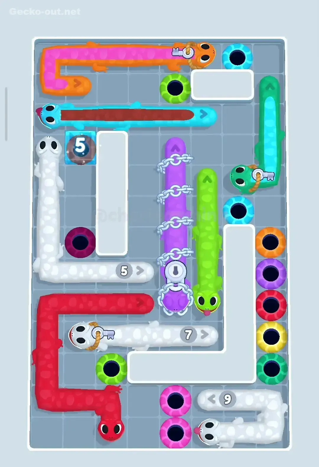 Gecko Out Level 47 Gameplay