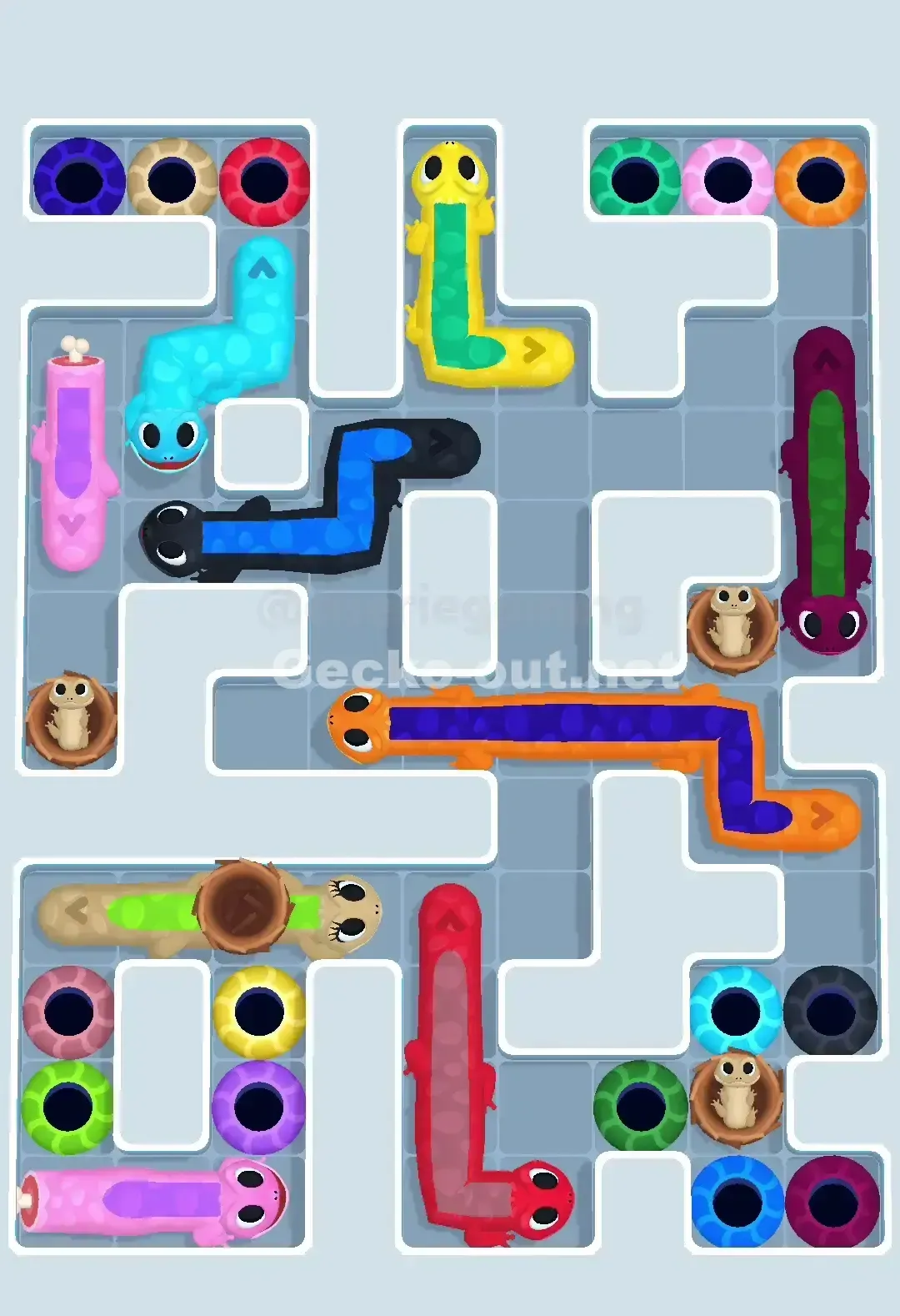 Gecko Out Level 647 Gameplay