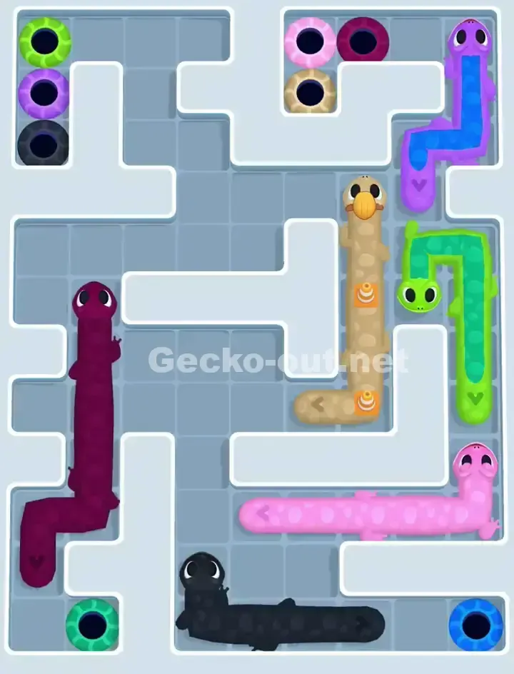 Gecko Out Level 1081 Solution 2