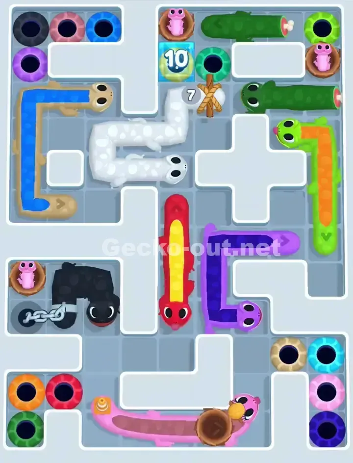 Gecko Out Level 1118 Solution 1
