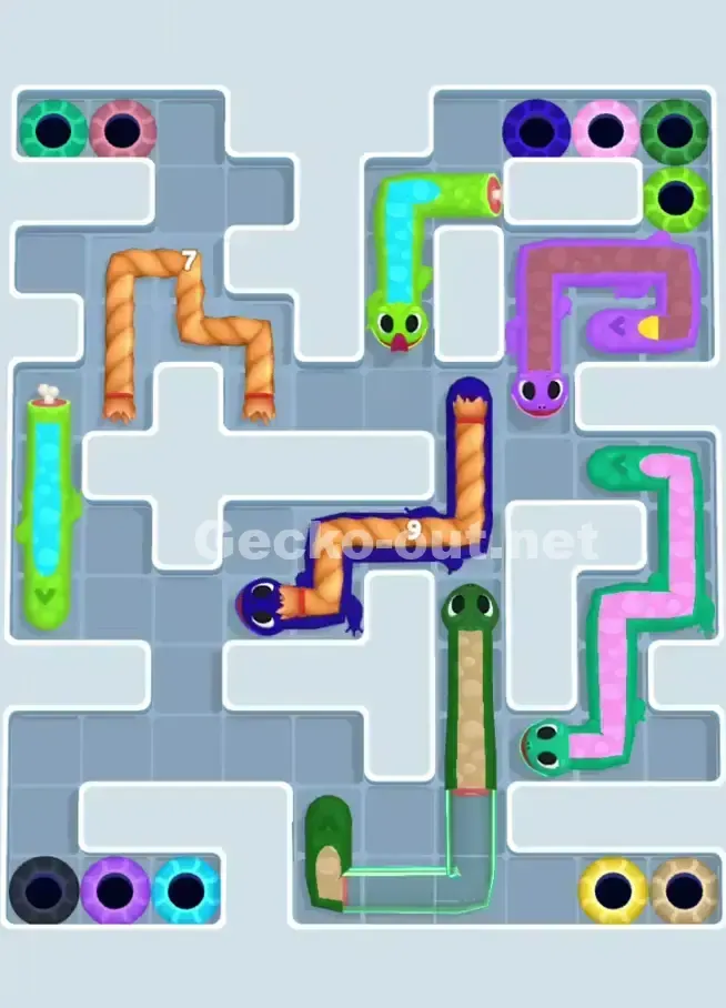 Gecko Out Level 1020 Solution 1