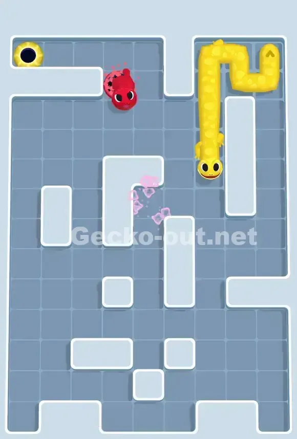 Gecko Out Level 802 Solution 3