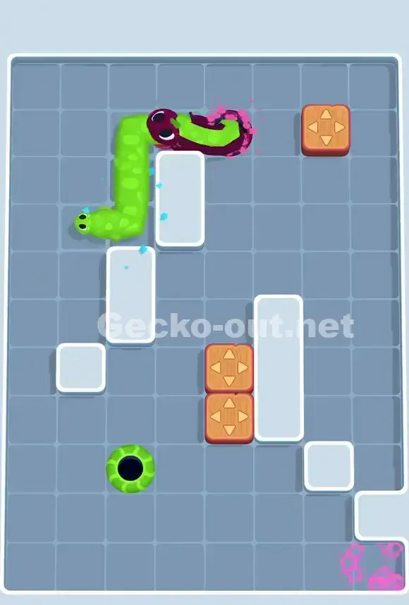Gecko Out Level 755 Solution 2