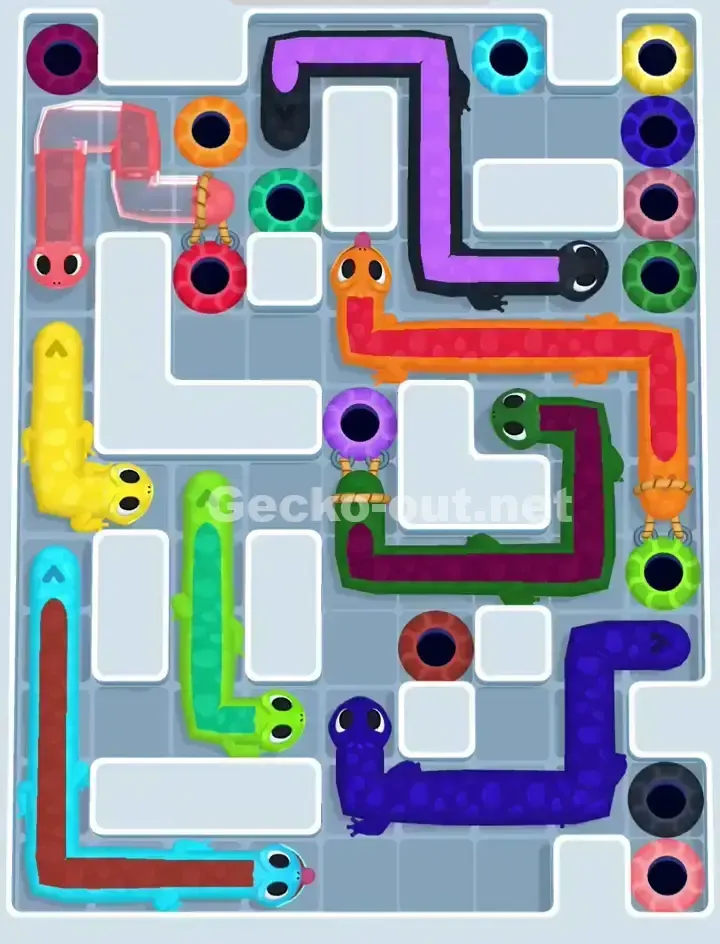 Gecko Out Level 1142 Solution 1