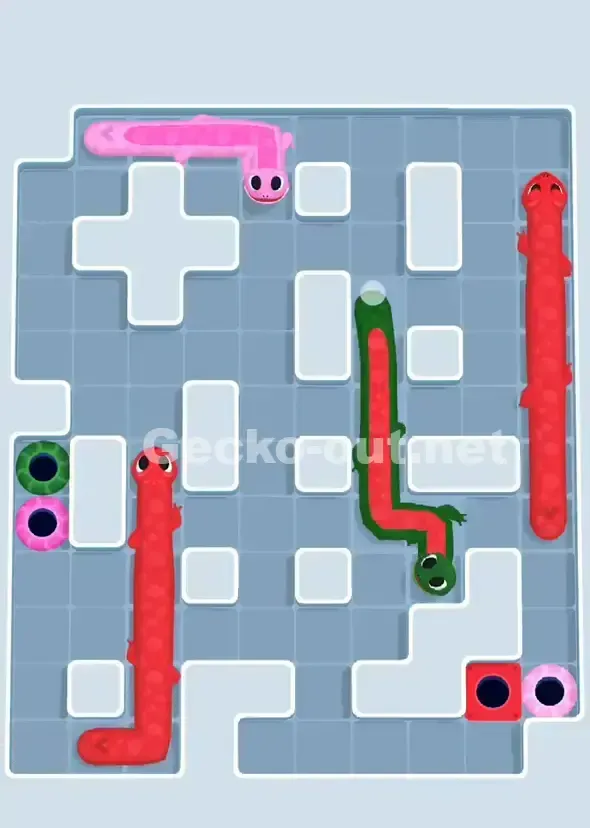 Gecko Out Level 904 Solution 3