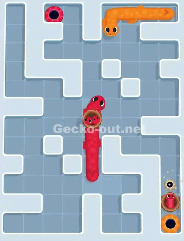 Gecko Out Level 1062 Solution 3