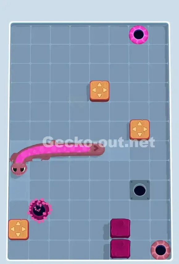 Gecko Out Level 828 Solution 3