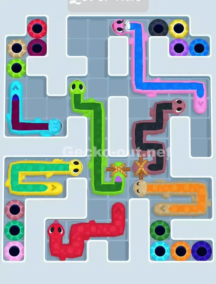 Gecko Out Level 1125 Solution 1