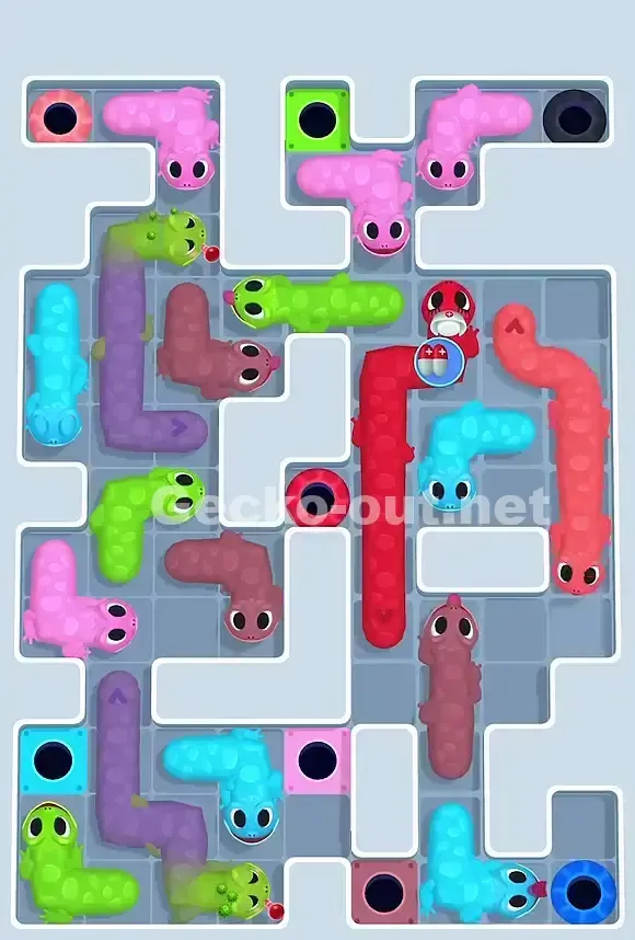 Gecko Out Level 798 Solution 1