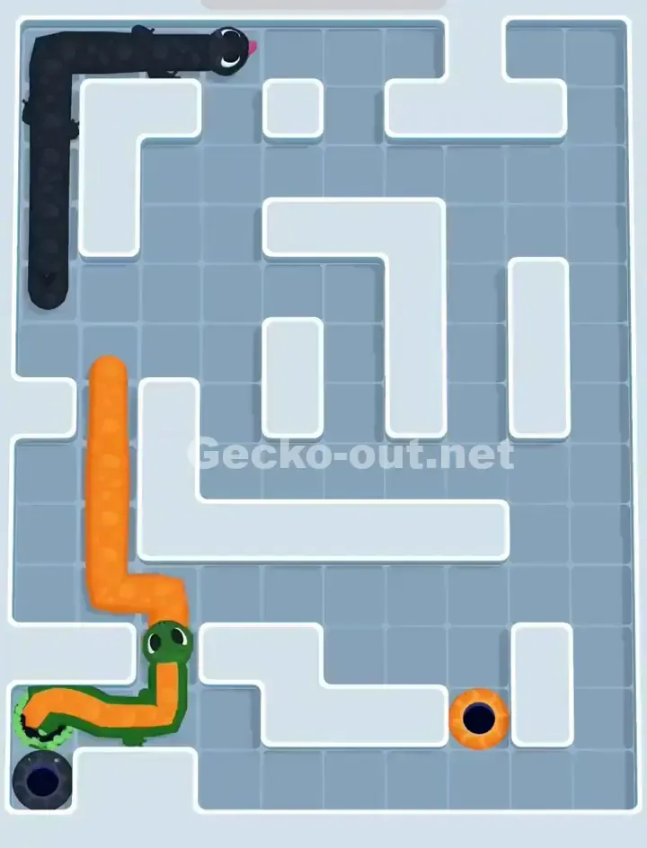 Gecko Out Level 1160 Solution 3