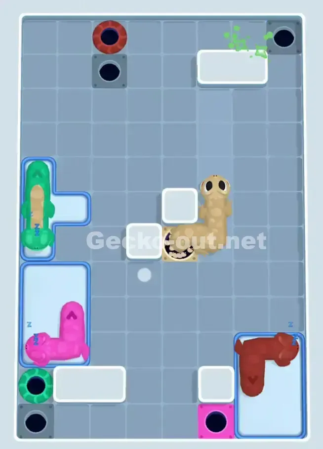 Gecko Out Level 998 Solution 3