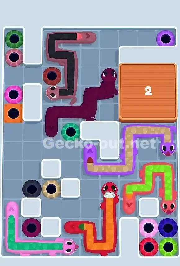 Gecko Out Level 805 Solution 2