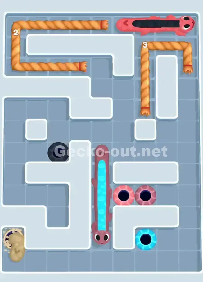 Gecko Out Level 1048 Solution 3