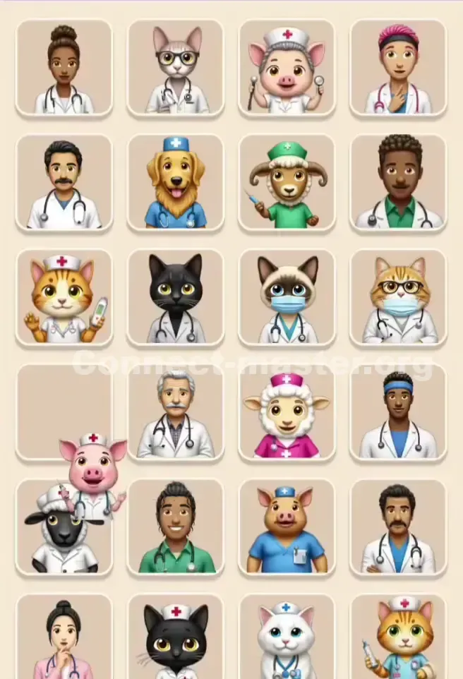 Connect Master Level 305 Solution 1