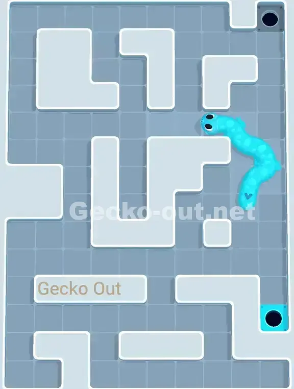 Gecko Out Level 954 Solution 3