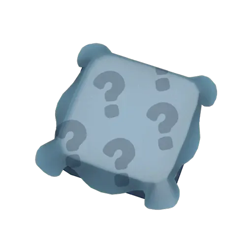 Mystery Box 神秘盒（灰袋）