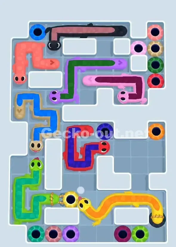 Gecko Out Level 905 Solution 1