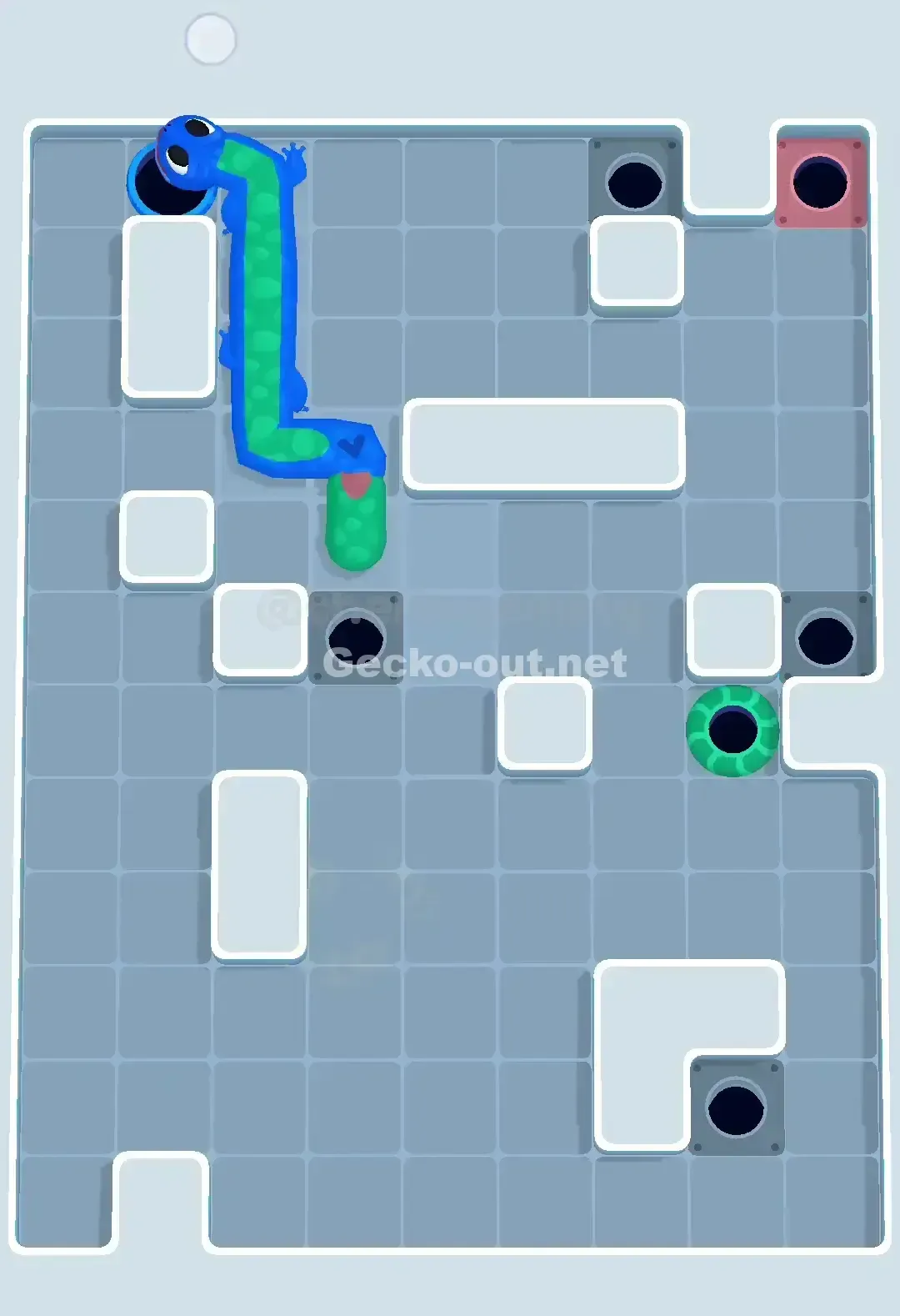 Gecko Out Level 681 Solution 3