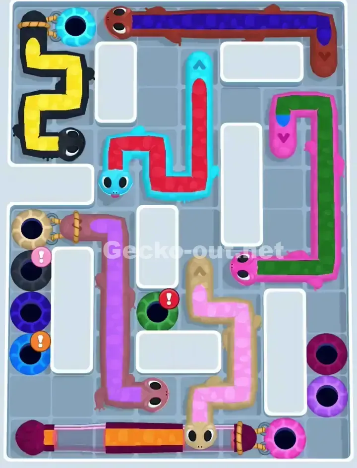 Gecko Out Level 1146 Solution 1