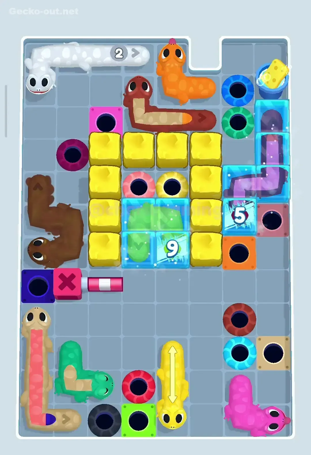 Gecko Out Level 313 Solution 2