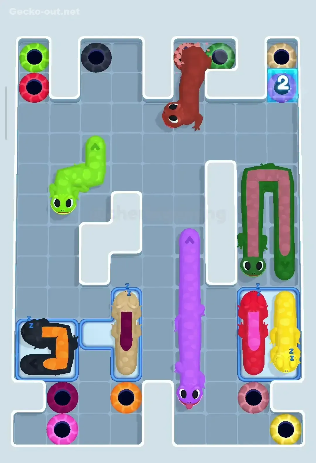Gecko Out Level 298 Solution 2