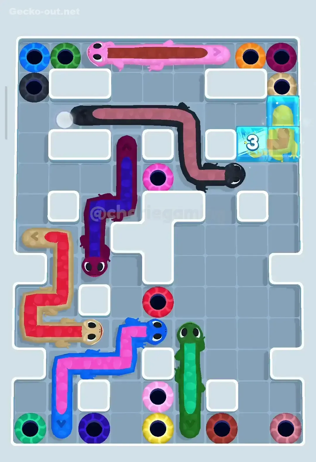 Gecko Out Level 296 Solution 3