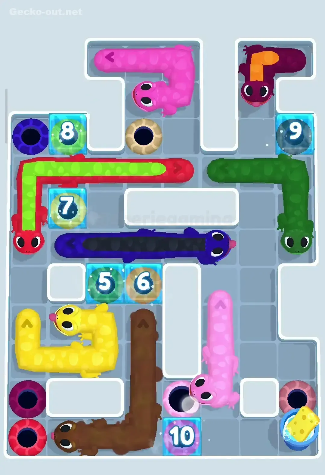 Gecko Out Level 295 Solution 2