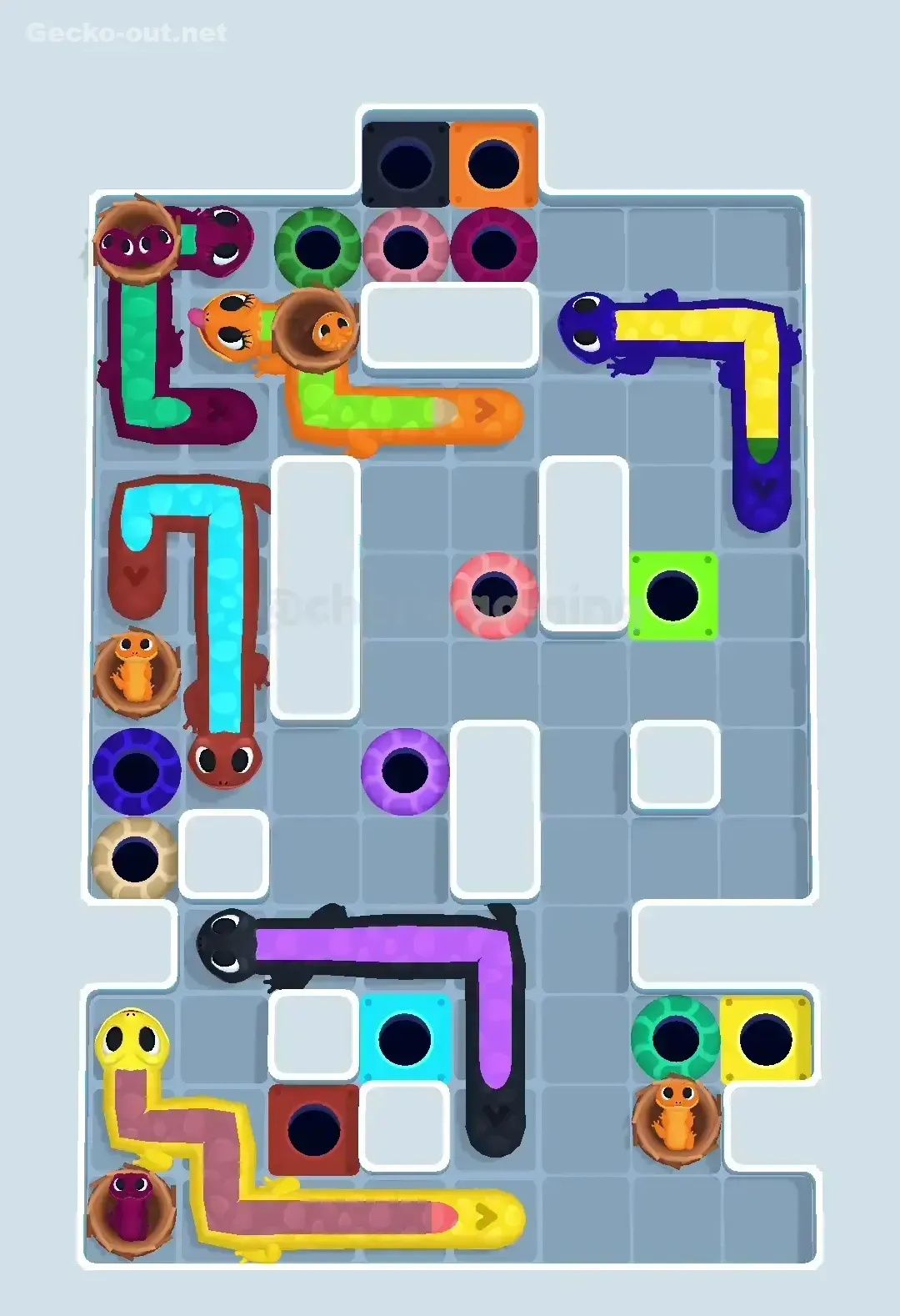 Gecko Out Level 634 Solution 3