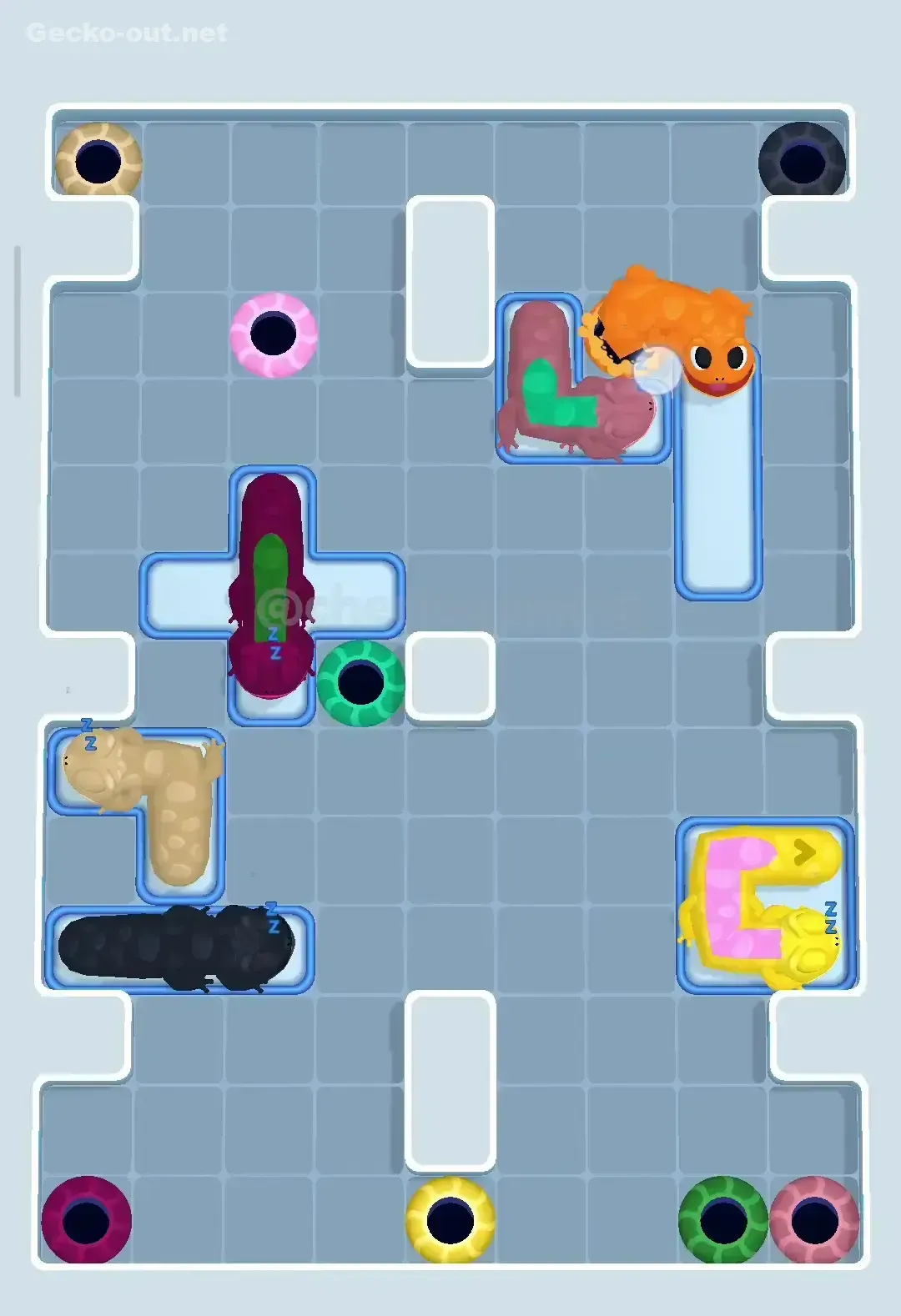 Gecko Out Level 286 Solution 3