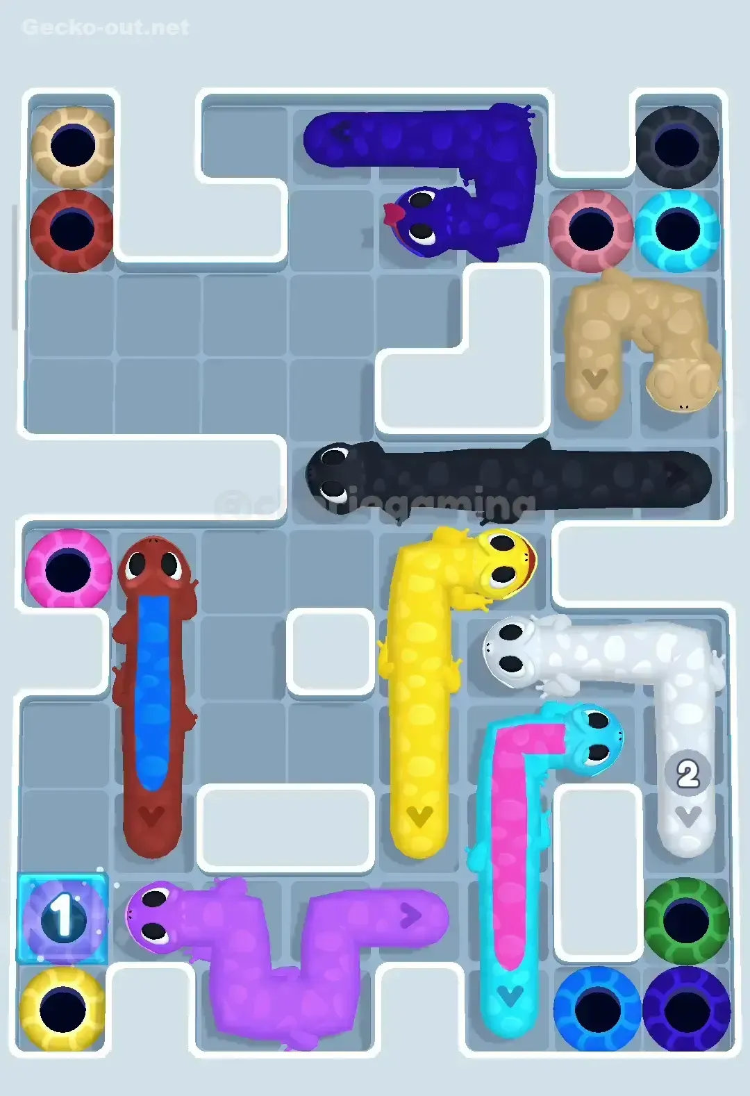 Gecko Out Level 266 Solution 3