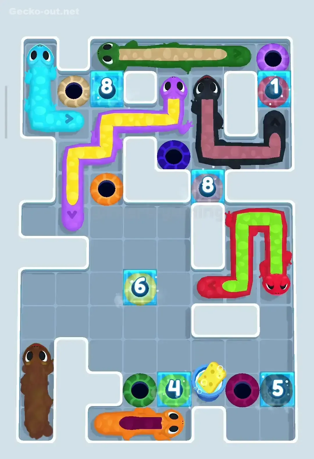 Gecko Out Level 258 Solution 2