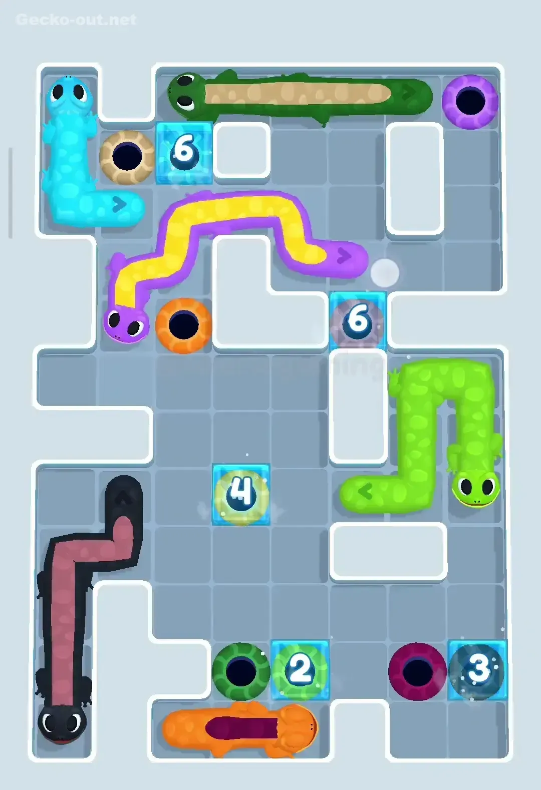 Gecko Out Level 258 Solution 3