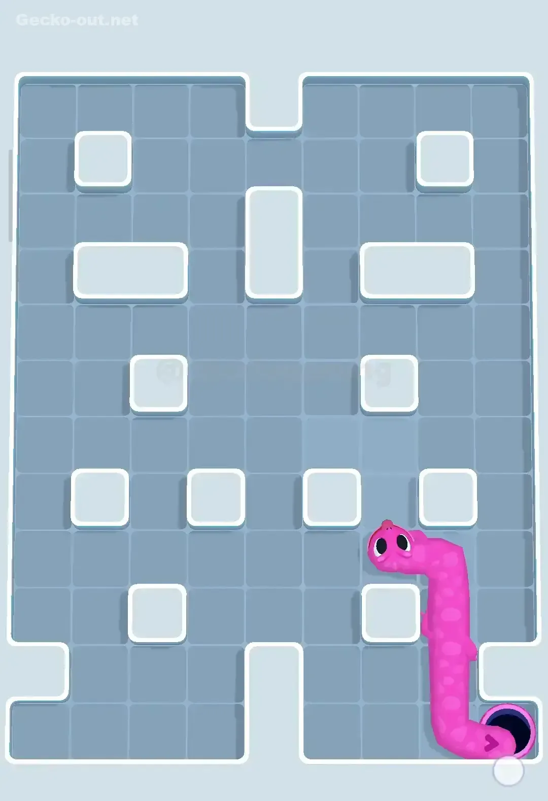 Gecko Out Level 257 Solution 3
