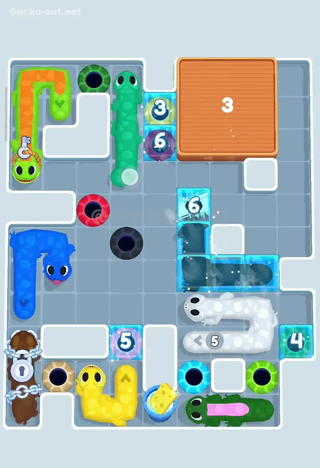 Gecko Out Level 250 Solution 2