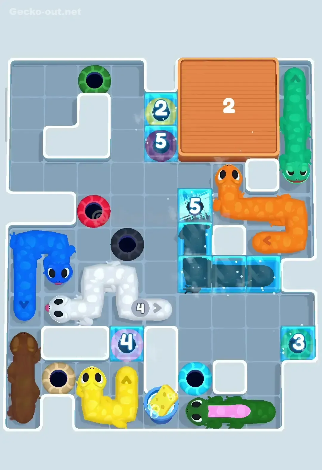 Gecko Out Level 250 Solution 3