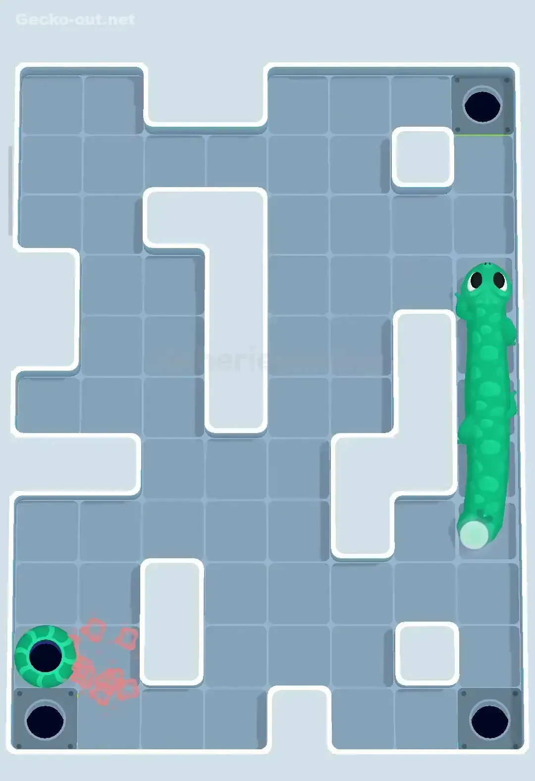 Gecko Out Level 247 Solution 3