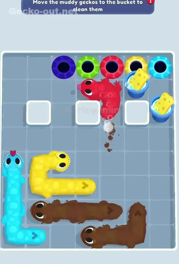 Gecko Out Level 244 Solution 2