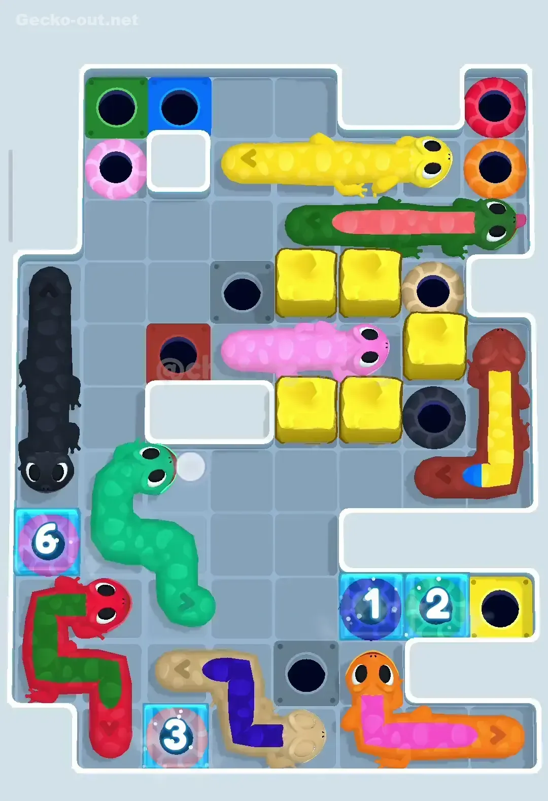 Gecko Out Level 243 Solution 3