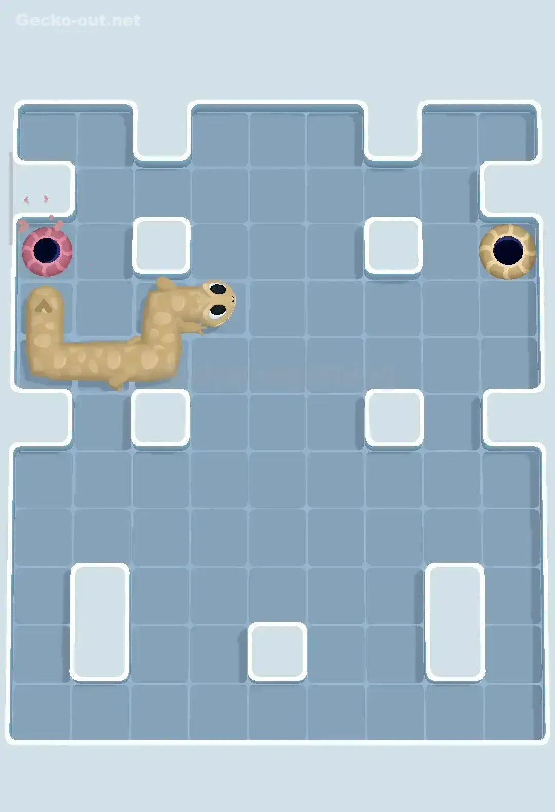 Gecko Out Level 242 Solution 3